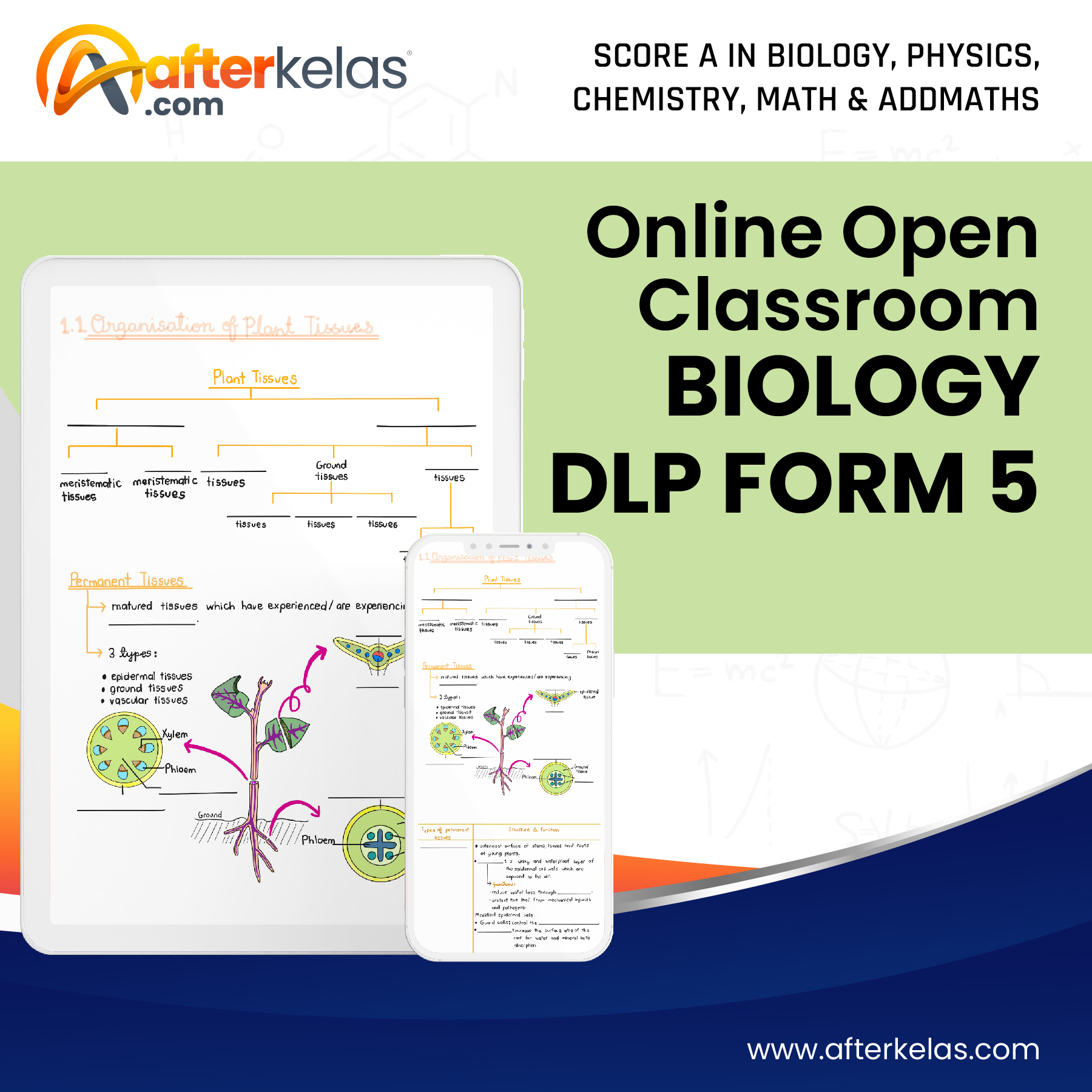 Open Classroom – Biology DLP F5 (English)